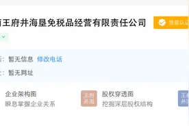 王府井加速海南离岛免税业务布局，一日成立两家免税经营企业图片