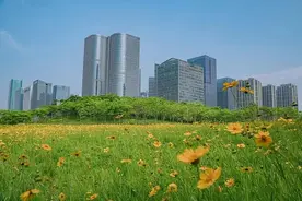 新一轮农村有机更新计划公布，新增50个村！图片