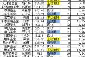 超重磅！千亿张坤领衔，500亿级基金经理规模榜来了！更有谢治宇、董承非、周应波、朱少醒、杨栋、章晖图片