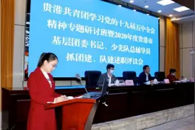 贵港共青团首次将县级少先队总辅导员抓队建纳入述职评议图片