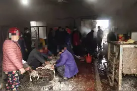 工业松香脱鸭毛 定远公安捣毁两处“黑作坊”图片