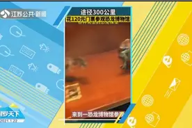 驱车300公里花120元看恐龙展，看到的却是塑料恐龙，一个比一个小视频封面
