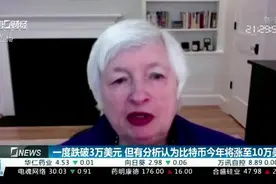 一度跌破3万美元 但有分析认为比特币今年将涨至10万美元视频封面
