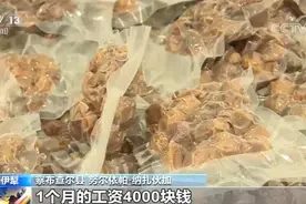 山货变俏货 扶贫832平台新设十大专区继续助力图片