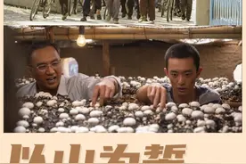 9.4分的扶贫剧《山海情》火了，凭什么？丨思客数理话图片