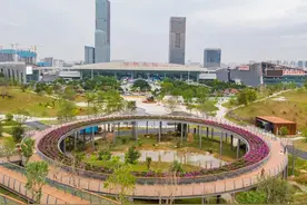 [春节留深] 龙华游园攻略之民治街道篇图片
