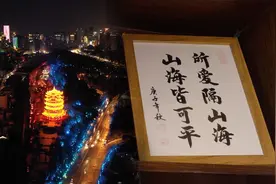 重访武汉民间志愿者：后疫情时代仍要播散善良的种子视频封面