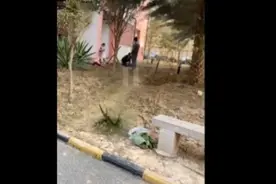 西南宁母女三人坠亡 警方：母亲有精神病史，近期多次表露自杀倾向图片
