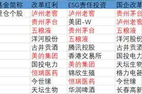 “复制黏贴”蓝筹精选躺赢，目标100亿的易方达核心优势想脱颖而出有啥招？图片
