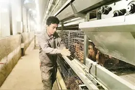 搬得出 稳得住 能致富 扎兰屯市易地搬迁群众实现安居乐业图片