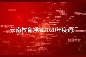 【2021云南两会】政协委员的年度关键词之“义务教育均衡发展”视频封面
