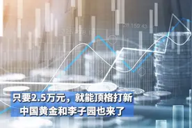 只要2.5万元就能顶格打新 中国黄金和李子园也来了视频封面