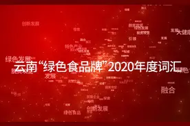 【2021云南两会】政协委员的年度关键词之“云品出滇”视频封面