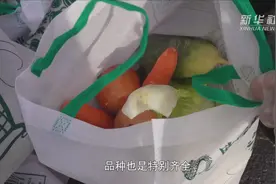 吉林通化：按照每户5天需求量供应“蔬菜包”，咋送？视频封面
