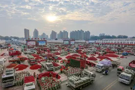 新春走基层丨今年辣椒价格为什么这么贵？记者走访全国最大的柘城辣椒交易市场图片