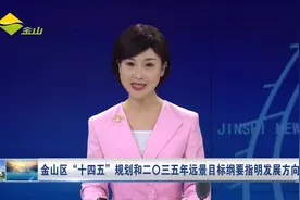 金山区“十四五”规划和二三五年远景目标纲要指明发展方向视频封面