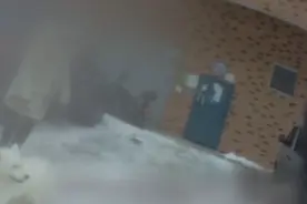 封闭期间男子撕毁封条出门遛狗，被行拘5日视频封面