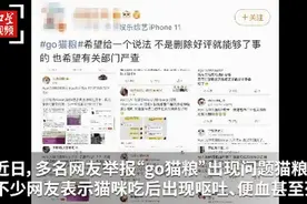 go猫粮被曝猫吃后中毒甚至死亡，网友讨要“说法”！代理商回应了图片