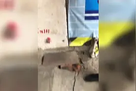 疑因周边施工，南宁河堤路多处房屋下沉开裂，住建部门已介入图片