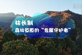 林长制 森林草原的“专属守护者”视频封面