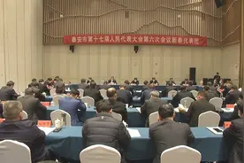 新泰代表团参加泰安市第十七届人民代表大会第六次会议联组讨论图片