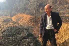 河源紫金一老人野外烧田草，烧毁山林数百亩被拘留图片