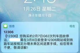 部分高铁列车春运期间因故停运，12306回应：客流不足图片