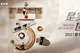碧桂园推出的四大产品系，“极致的实用主义”成发展新标图片