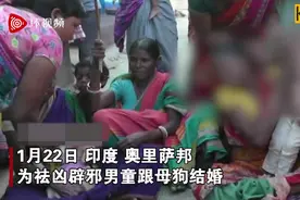 奇葩！印度男童为辟邪跟母狗结婚，只因先长了上牙图片