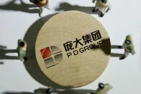 10天内三次变卖资产获利超6亿元 庞大有望完成2020年业绩承诺？图片