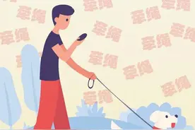 遛狗拴绳入法！5月1日起正式施行图片