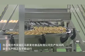河北石家庄：多措并举保障民生物资供应视频封面