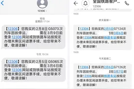 铁路春运客流下调27%，部分高铁停运图片