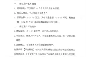 首个批量转让个人不良贷款债权信息发布 平安银行首“试水”图片