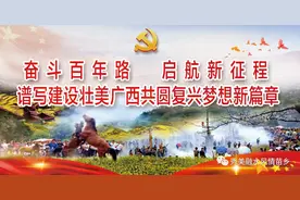 【聚焦东博会】县领导赴南宁拜访企业 推介融水图片