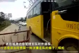 防城港一客车后车厢散发臭味，藏着1000只活蝎子、3500条冰冻蜈蚣……图片