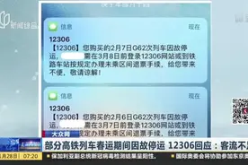 大众网：部分高铁列车春运期间因故停运  12306回应——客流不足视频封面