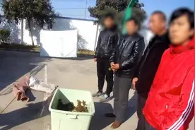 村民捕捉售卖千余只野生蟾蜍，因非法狩猎罪被抓获视频封面