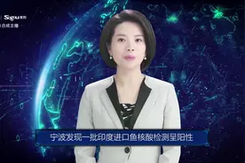 AI合成主播丨宁波发现一批印度进口鱼核酸检测呈阳性视频封面