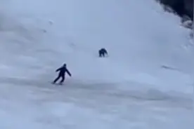 熊口逃生！一名男子滑雪时被熊猛追疯狂逃命视频封面