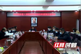 安乡县人民政府党组2020年度民主生活会召开图片