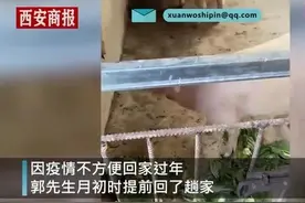 太意外！男子离家时爸妈将重礼塞后备箱：300斤，活的图片