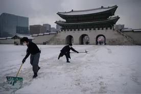 韩国首尔等地迎来降雪图片