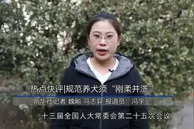热点快评｜规范养犬须“刚柔并济”视频封面