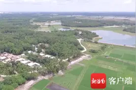 文昌发放农村宅基地不动产权证 让村民不动产“动起来”图片