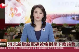 河北新增新冠确诊病例呈下降趋势视频封面