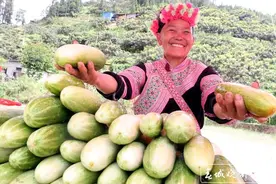 云南好物，如何更热？图片