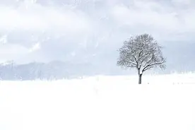 杨士奇之敛图片