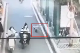可怜！主人没拴绳宠物狗丢失多天，找回时下排牙几乎全没了图片