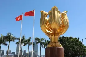 香港特区政府：1月31日起，BNO护照不能用于在香港出入境图片
